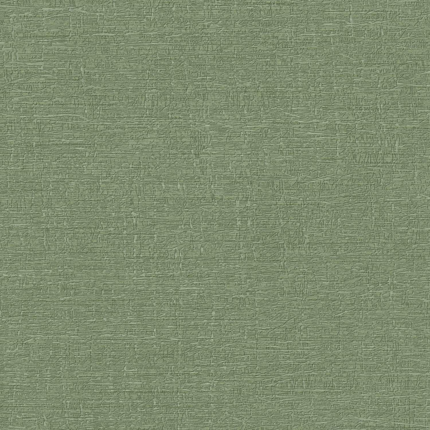 Tapete Uni Einfarbig M1-No.11130 Vlies Grün Tadessi 10.05 m x 0.53 m