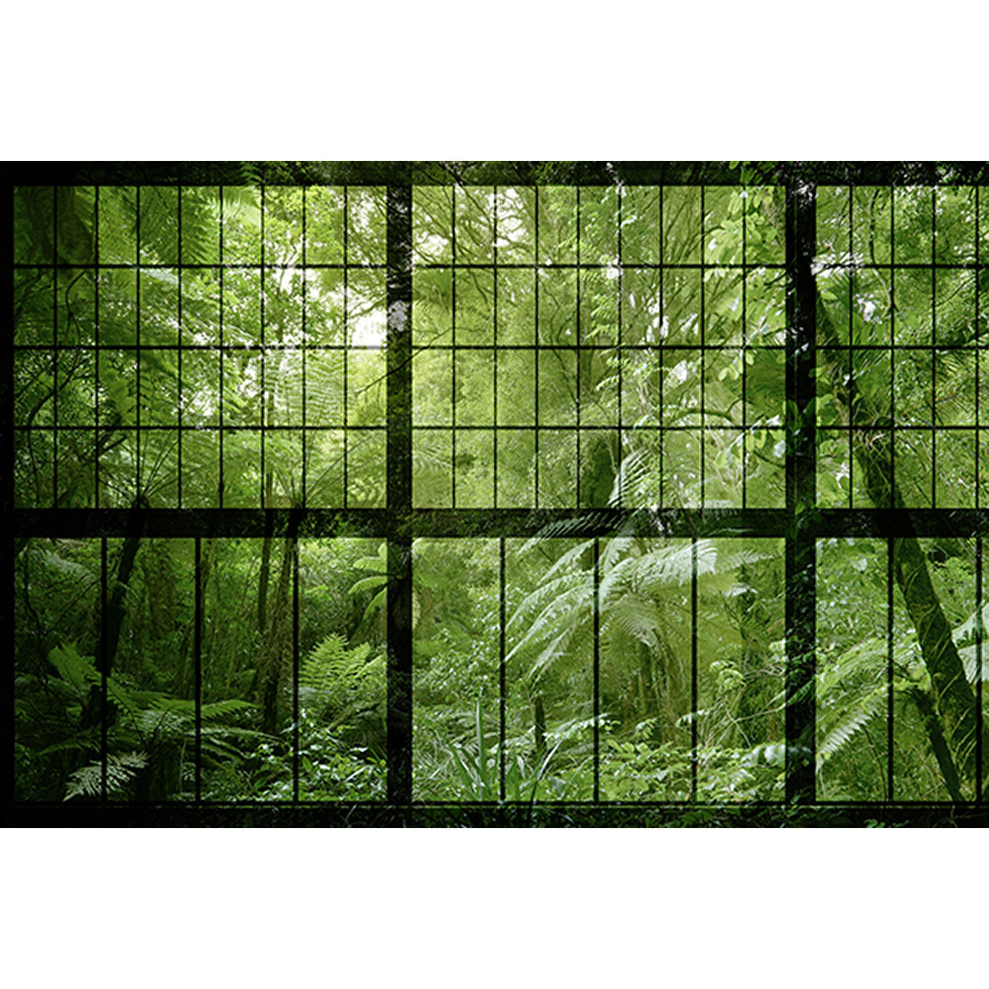 Fototapete Fenster M1-No.60914 | Digitaldruck | Grün | Schwarz | Dschungel
