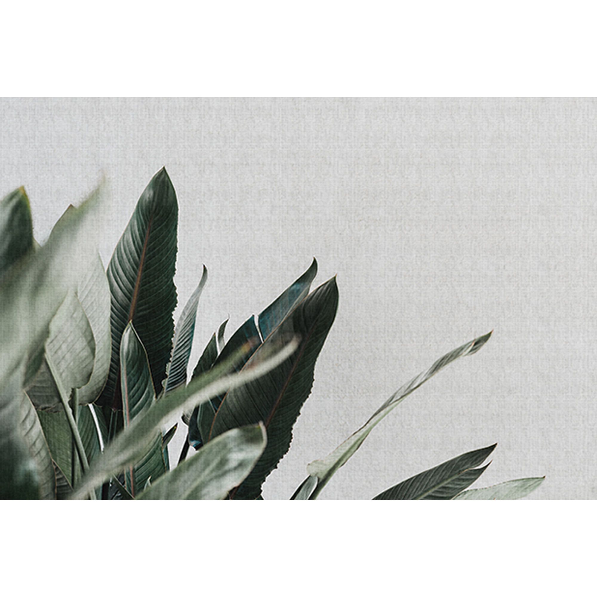 Fototapete Blumen M1-No.60971 | Digitaldruck | Grün | Weiß | Pflanzen | Floral