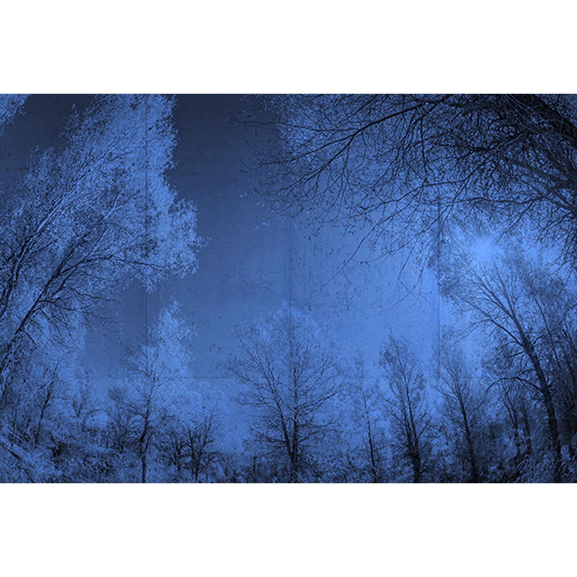 Tadessi Fototapete Wald M1-No.60139 Digitaldruck Tapete Blau Schwarz