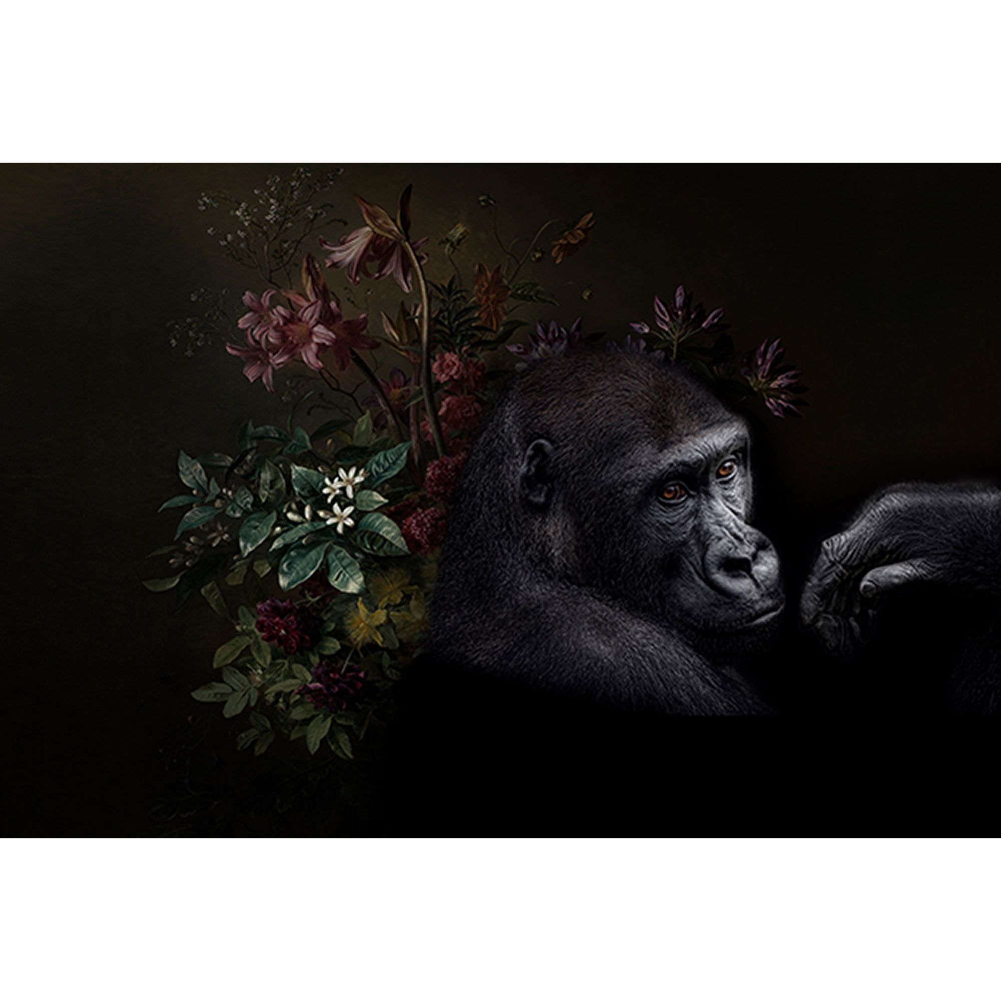 Tadessi Fototapete Blumen M1-No.60713 Digitaldruck Tapete Schwarz Braun - Tiere