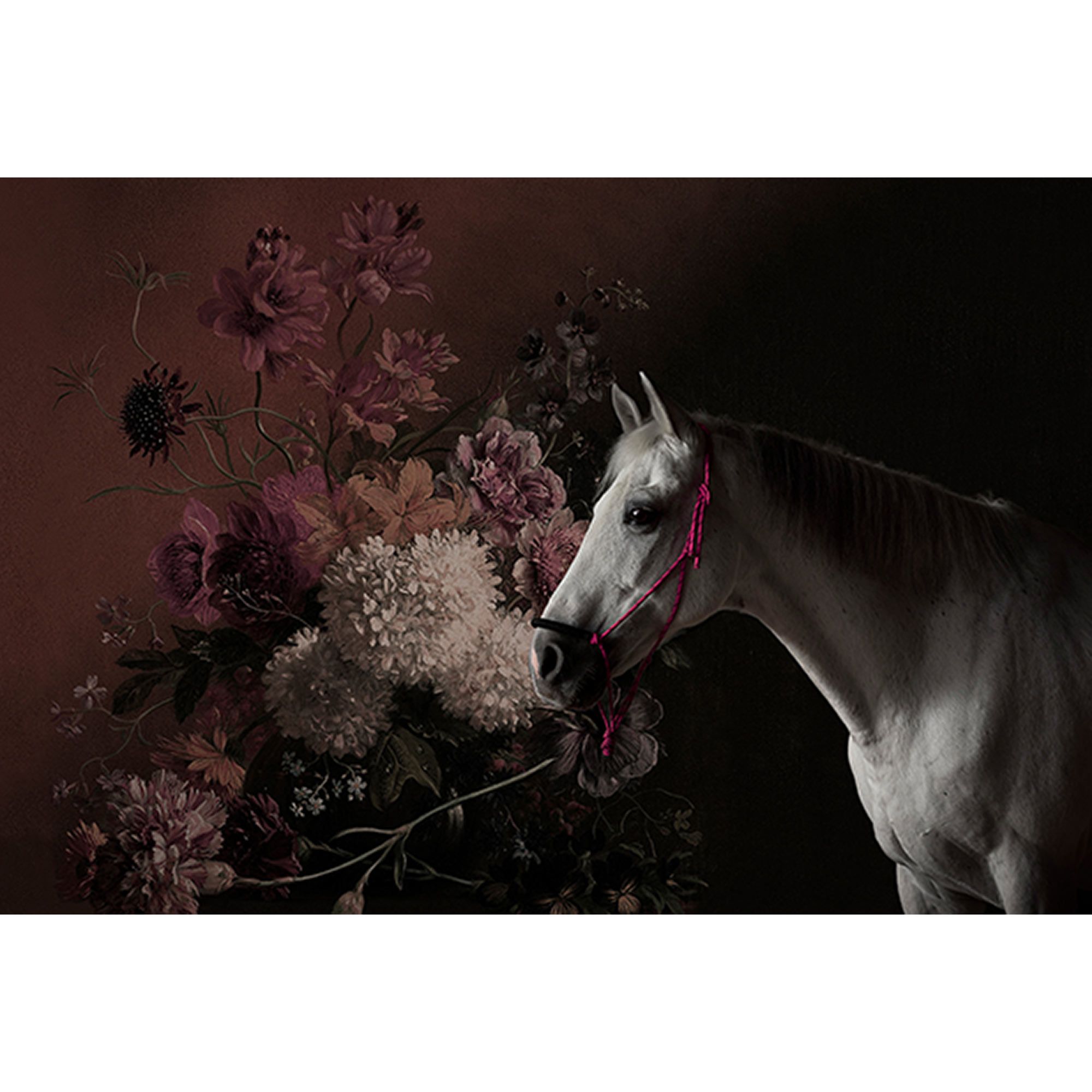 Tadessi Fototapete Blumen M1-No.60615 Digitaldruck Tapete Weiß Rosa - Pferde Tiere