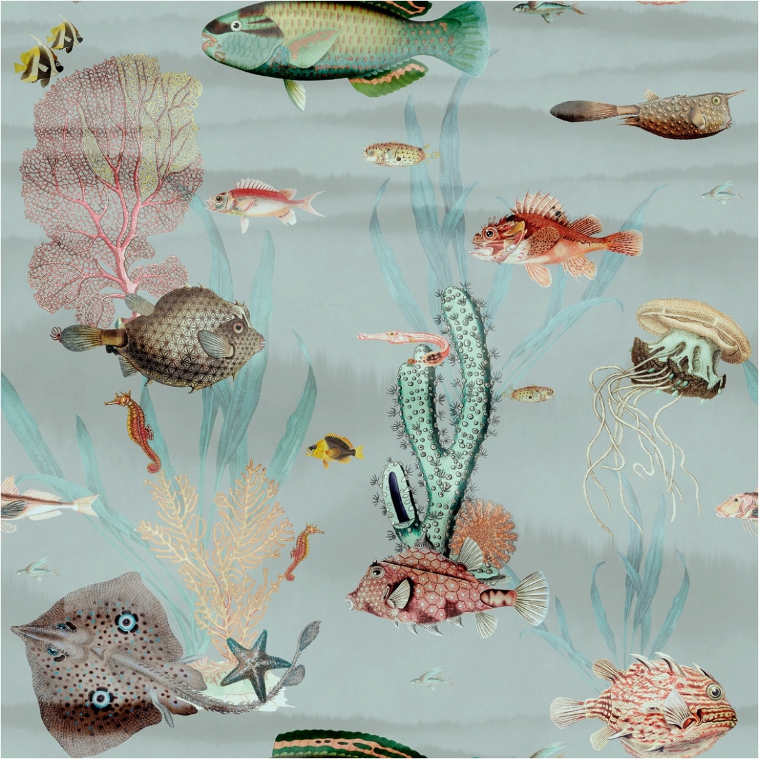 Fototapete Fische M1-No.11753 | Vliestapete Tiertapete | Blau | Bunt | Unterwasserwelt | Wohnzimmer