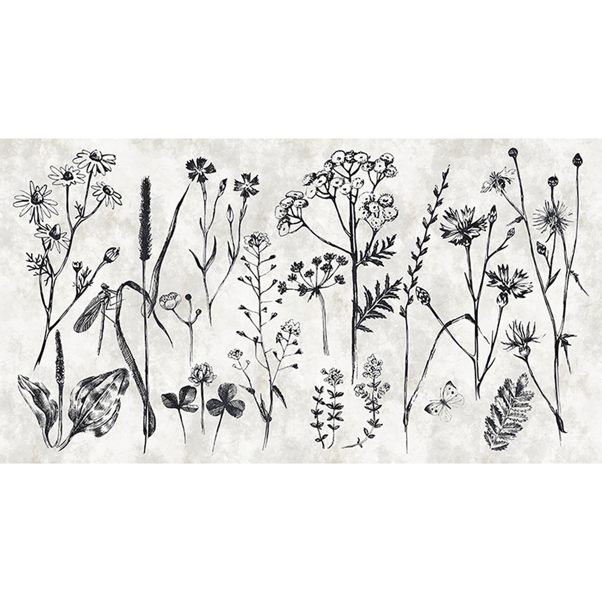 Fototapete Blumen M1-No.60680 | Digitaldruck | Weiß | Schwarz | Schwarz-Weiß