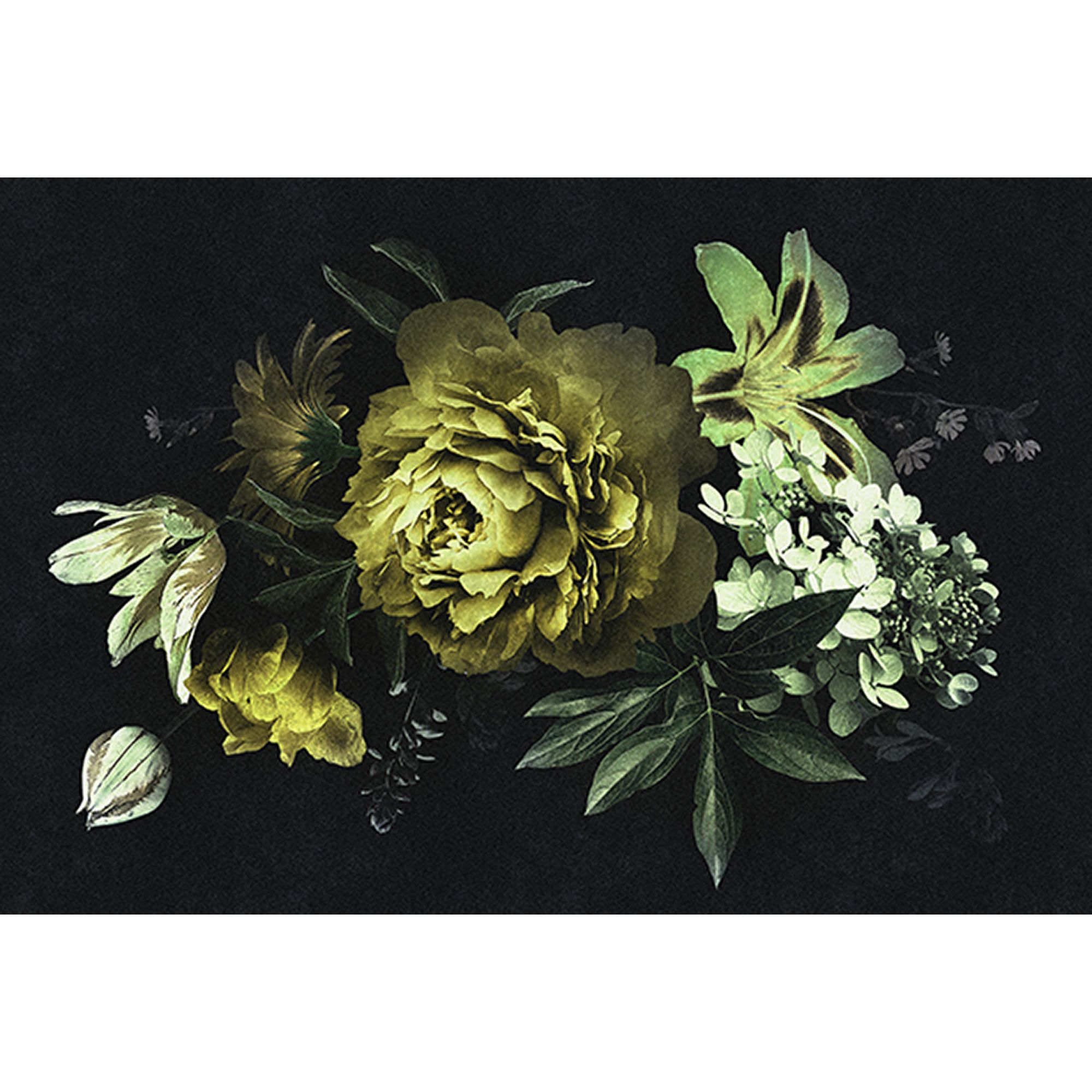 Fototapete Blumen M1-No.60795 | Digitaldruck | Gelb | Schwarz | Rosen