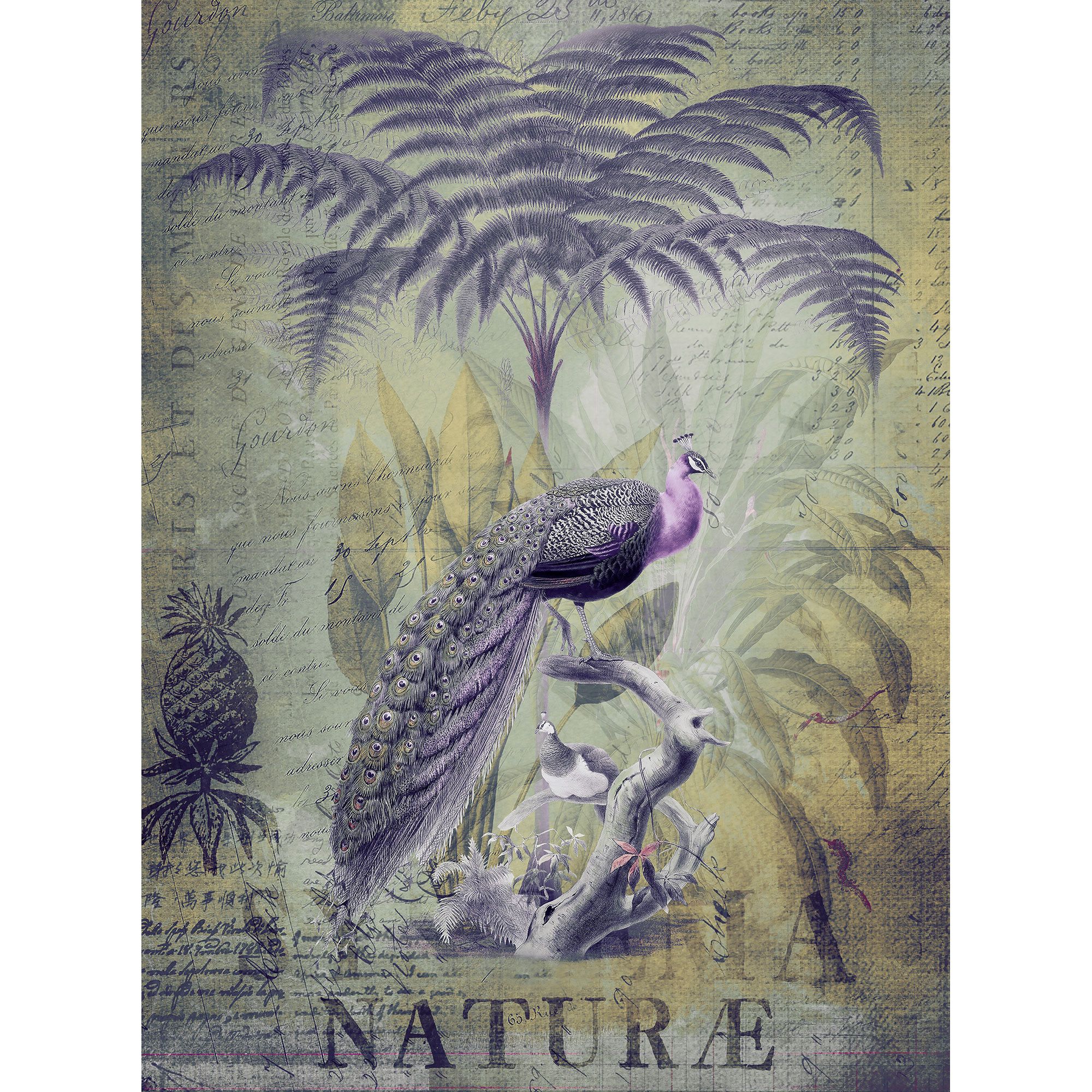 Tadessi Fototapete Vögel M1-No.60999 Digitaldruck Tapete Lila Gelb - Paris Dschungel