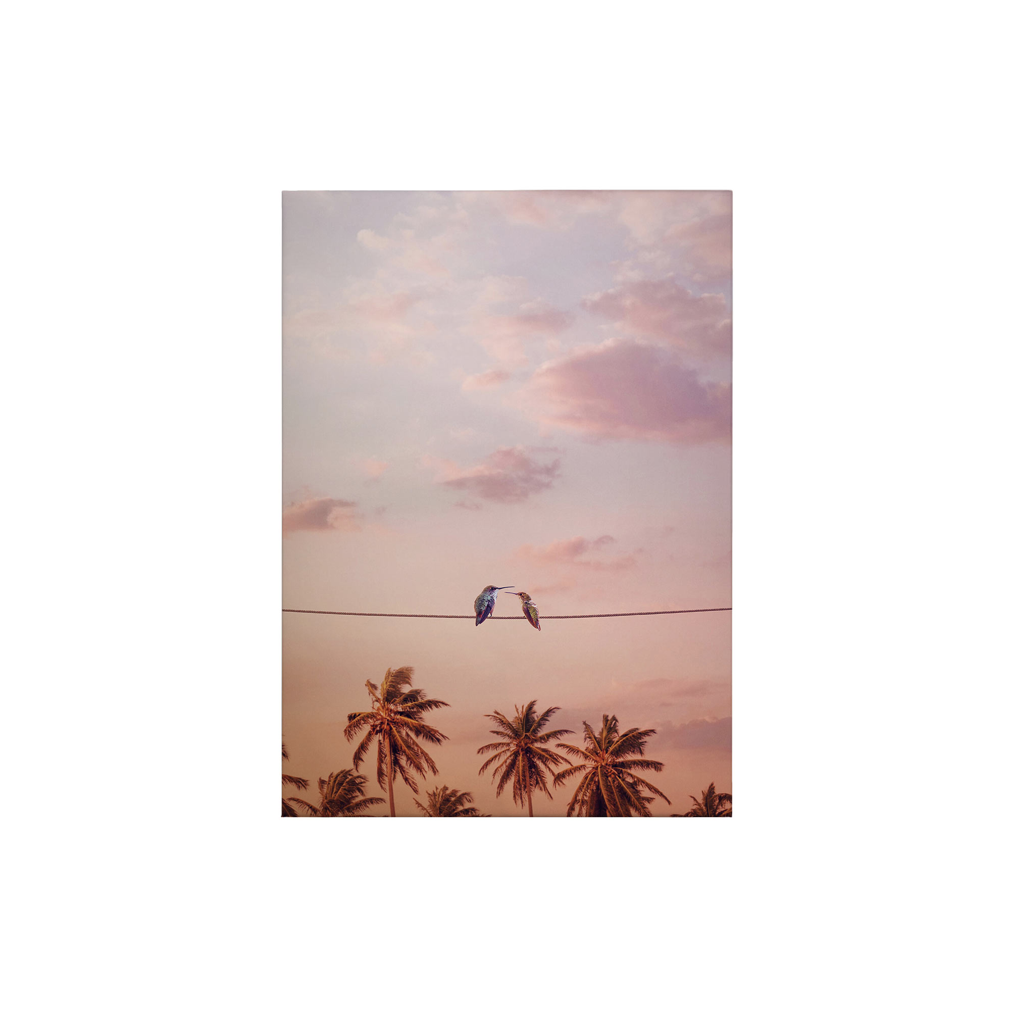 Leinwandbild Tiere M1-No.50371 | Wandbild 70 x 50 cm | Rosa Keilrahmen Vögel