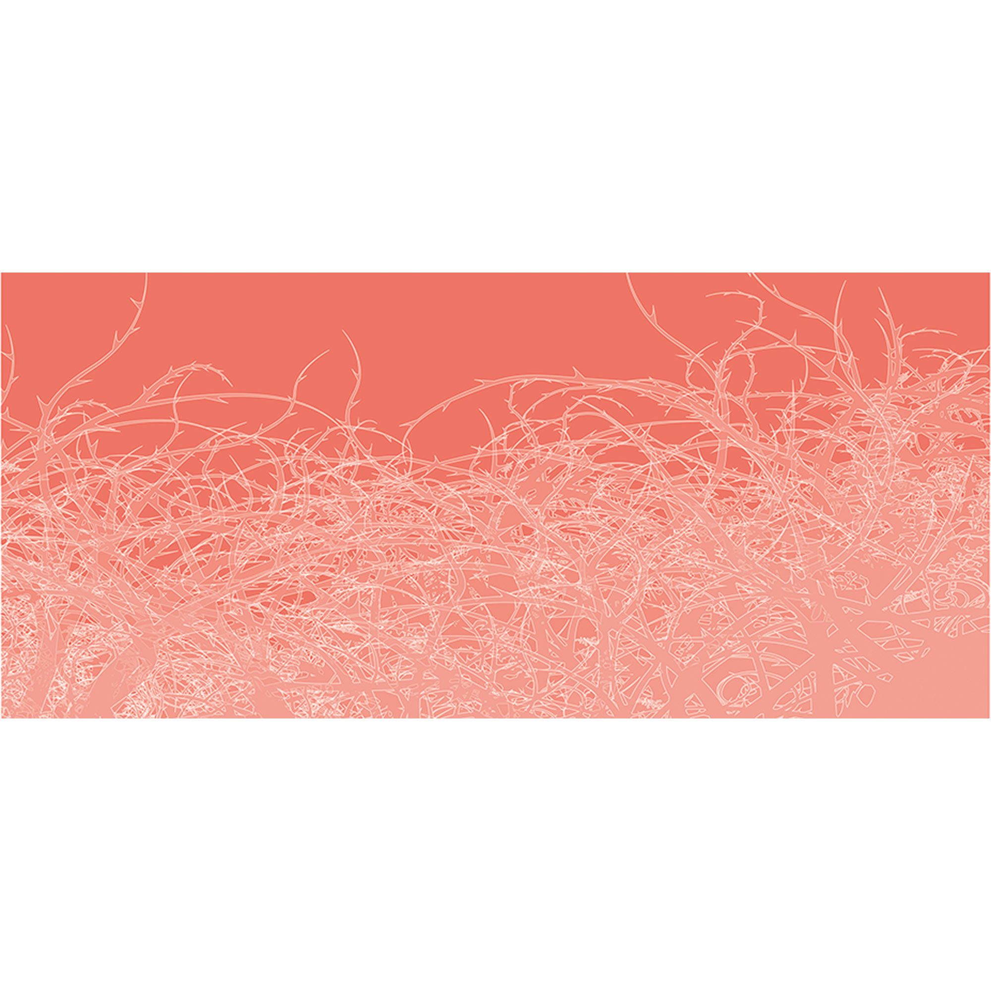 Tadessi Fototapete Grafik M1-No.60307 Digitaldruck Tapete Rosa Weiß - Modern