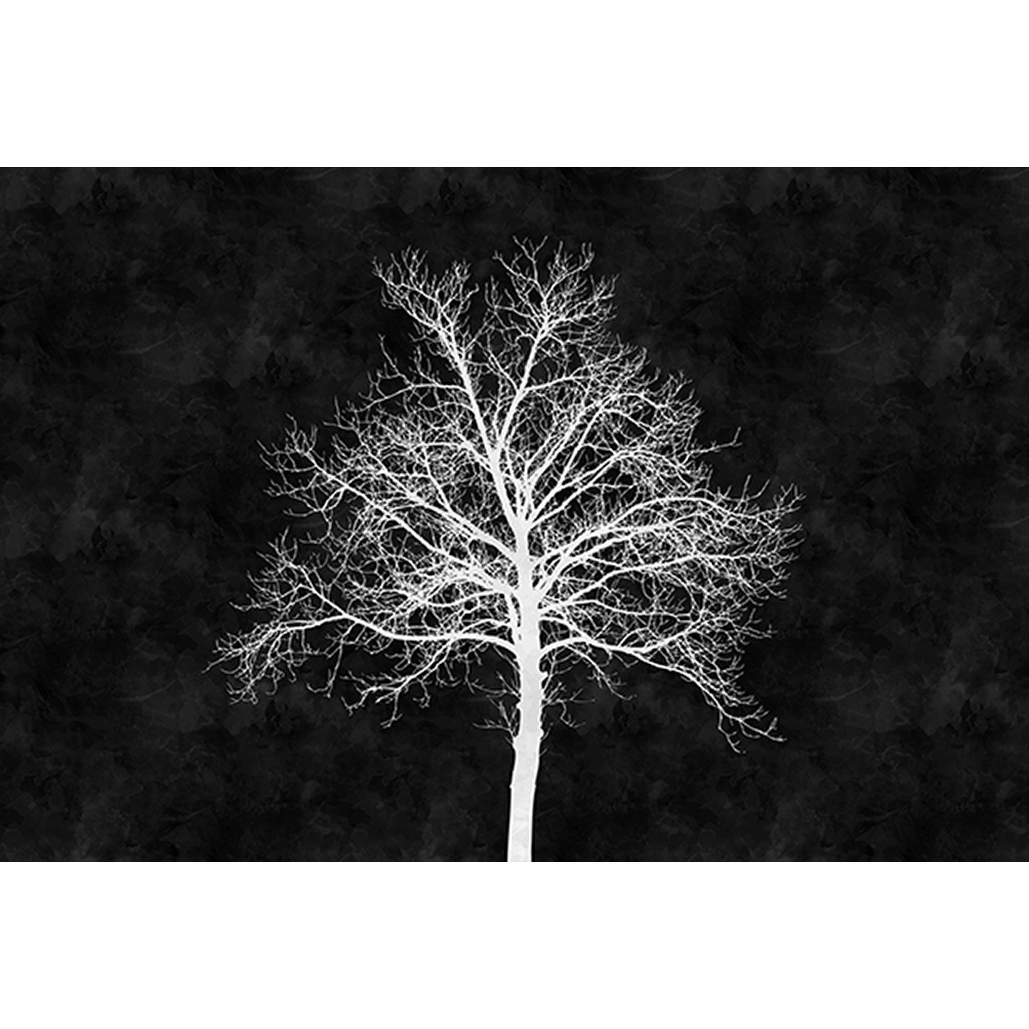 Fototapete Wald M1-No.60518 | Digitaldruck | Weiß | Schwarz | Schwarz-Weiß | Baum