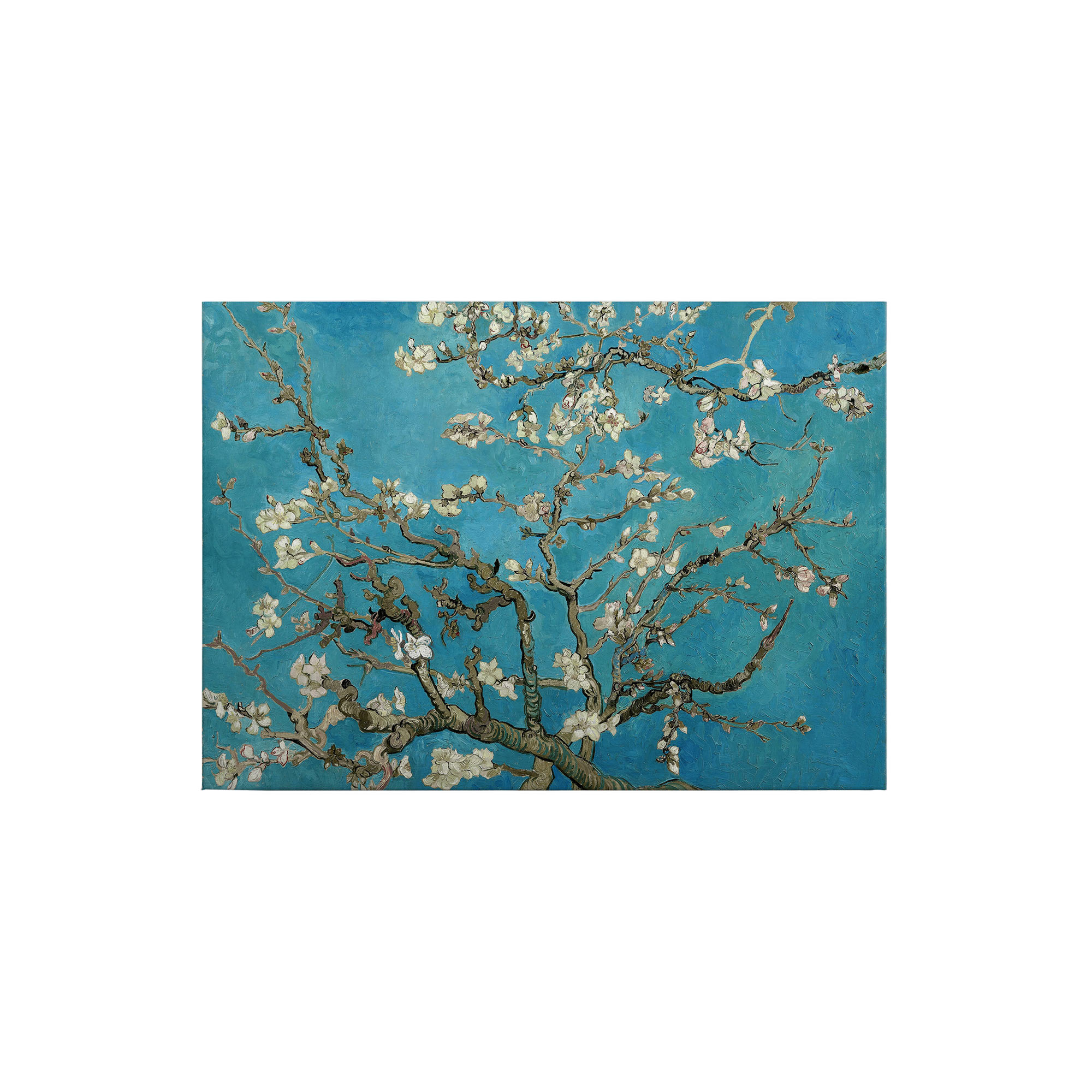 Tadessi Leinwandbild Natur Floral - 50 x 70 cm - M1-No.50306 - Keilrahmen in Blau