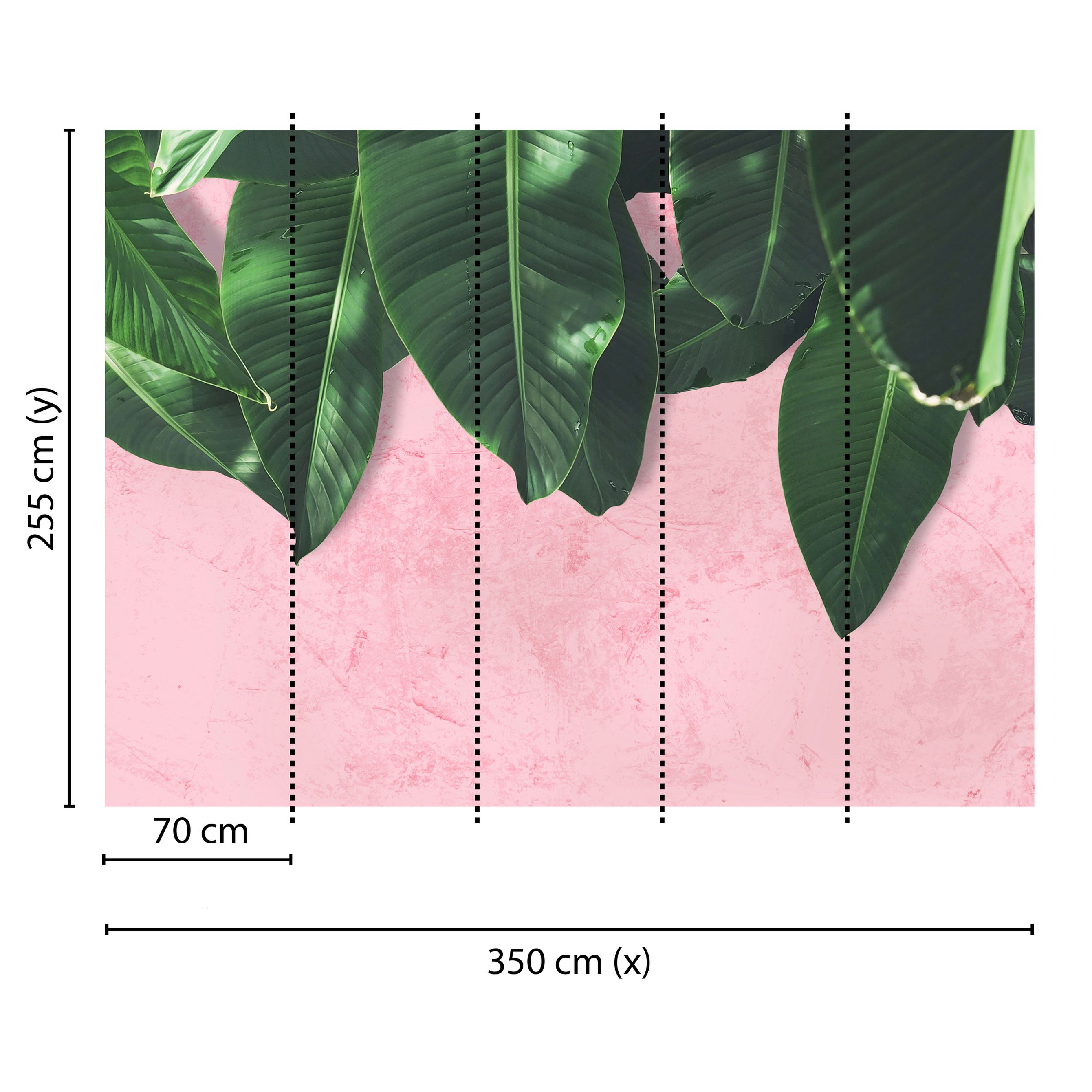 Tadessi Fototapete Natur M1-No.60448 Digitaldruck Tapete Rosa Grün - Palmen Dschungel