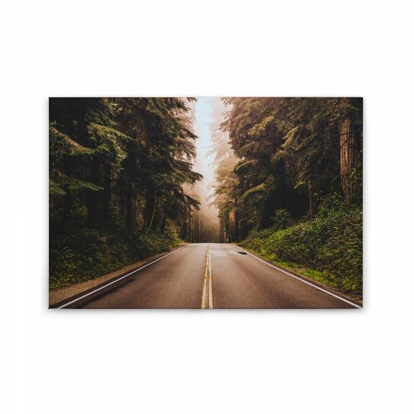Leinwandbild Bäume Wald M1-No.50056 | Wandbild 60 x 90 cm | Straße Grün Braun Keilrahmen Natur