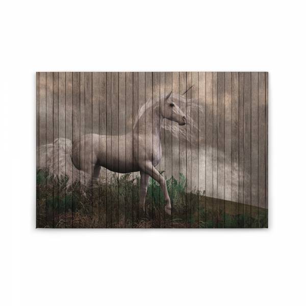 Leinwandbild Einhorn M1-No.50223 | Wandbild 60 x 90 cm | Grau Beige Keilrahmen Tiere