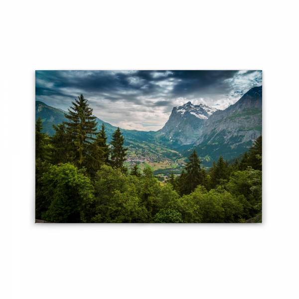 Leinwandbild Bäume Wald M1-No.50048 | Wandbild 60 x 90 cm | Landschaft Grün Grau Keilrahmen Natur