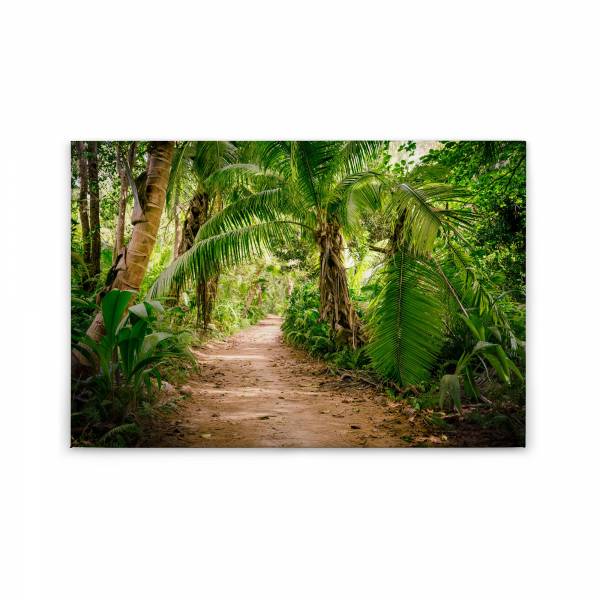 Leinwandbild Urwald M1-No.50055 | Wandbild 60 x 90 cm | Dschungel Grün Braun Keilrahmen Wald