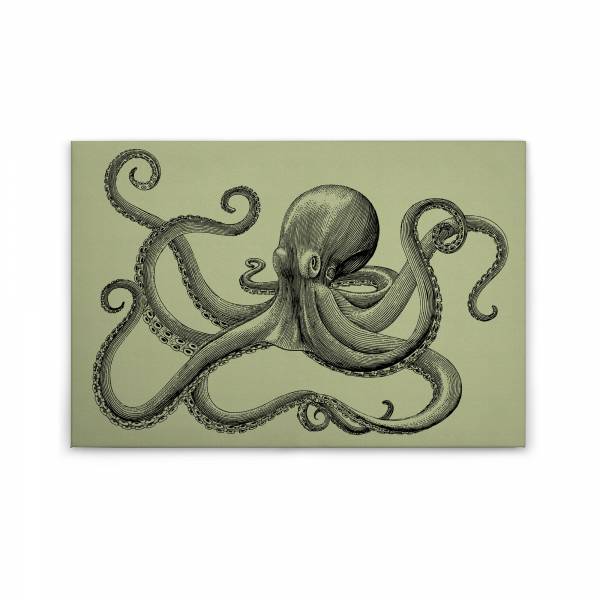 Leinwandbild Tiere M1-No.50242 | Wandbild 60 x 90 cm | Krake Grün Schwarz Keilrahmen Tiere